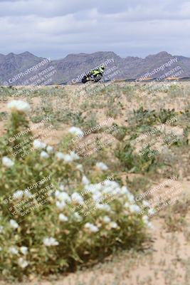media/Apr-05-2024-Apex Assassins-CVMA Friday Practice (Fri) [[ee2ef04f2b]]/5-Trackday 1/Session 4 (Turn 9 Flowers)/